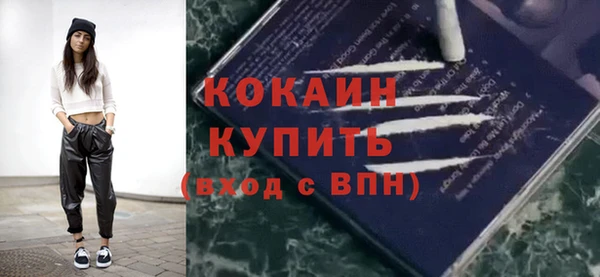 дживик Пересвет