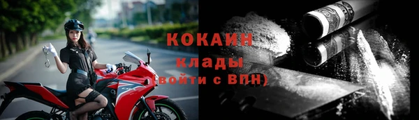 дживик Пересвет