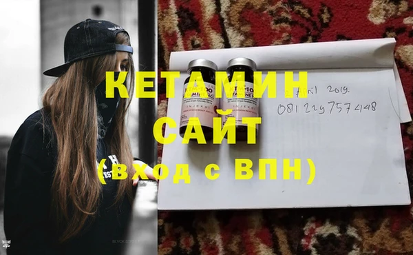 дживик Пересвет
